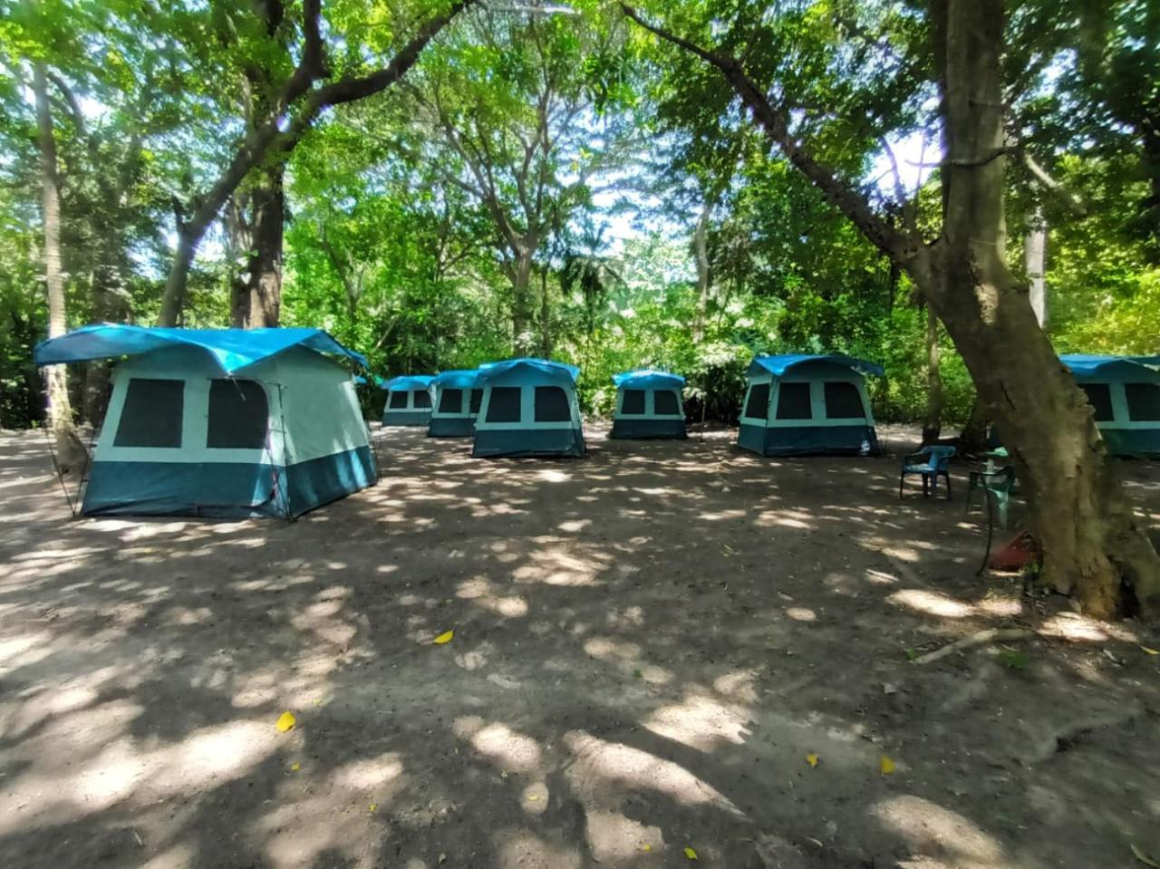 Happy Camping Arrecifes Dentro Del Parque Nacional Natural Tayrona El Coquito Exterior photo